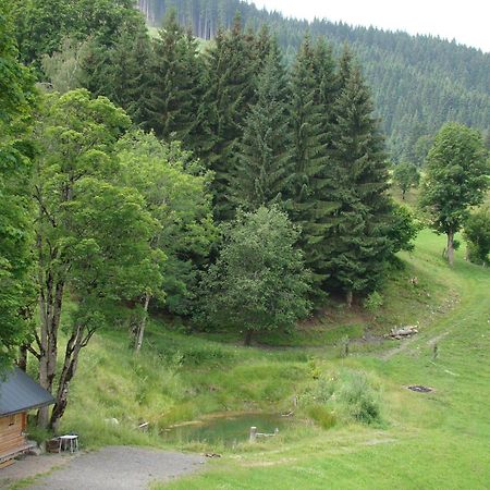 Unterholzhof Villa Piesendorf Ngoại thất bức ảnh