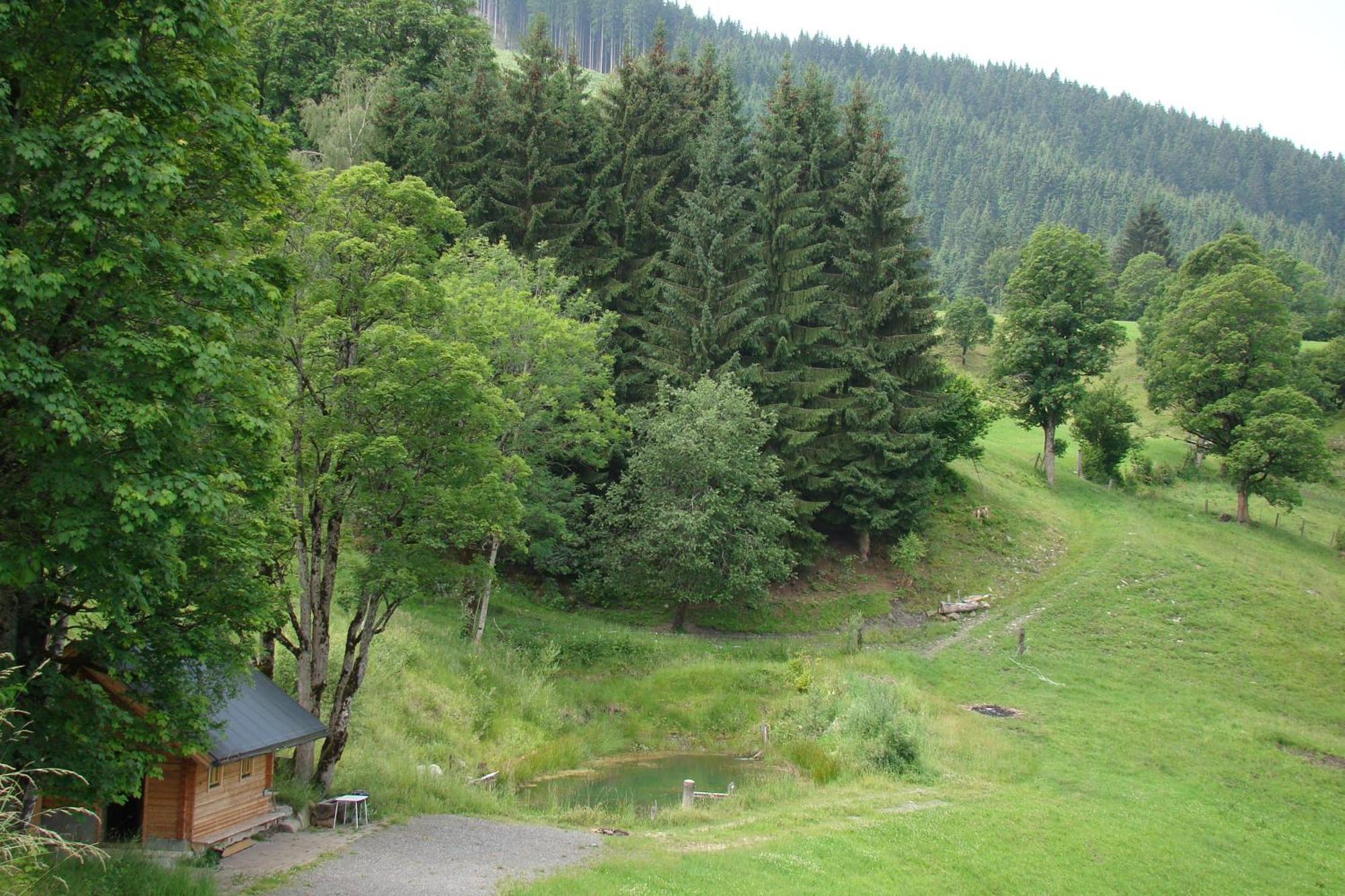 Unterholzhof Villa Piesendorf Ngoại thất bức ảnh